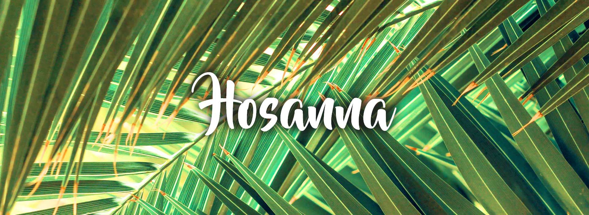 Palm Sunday (2nd April 2023)