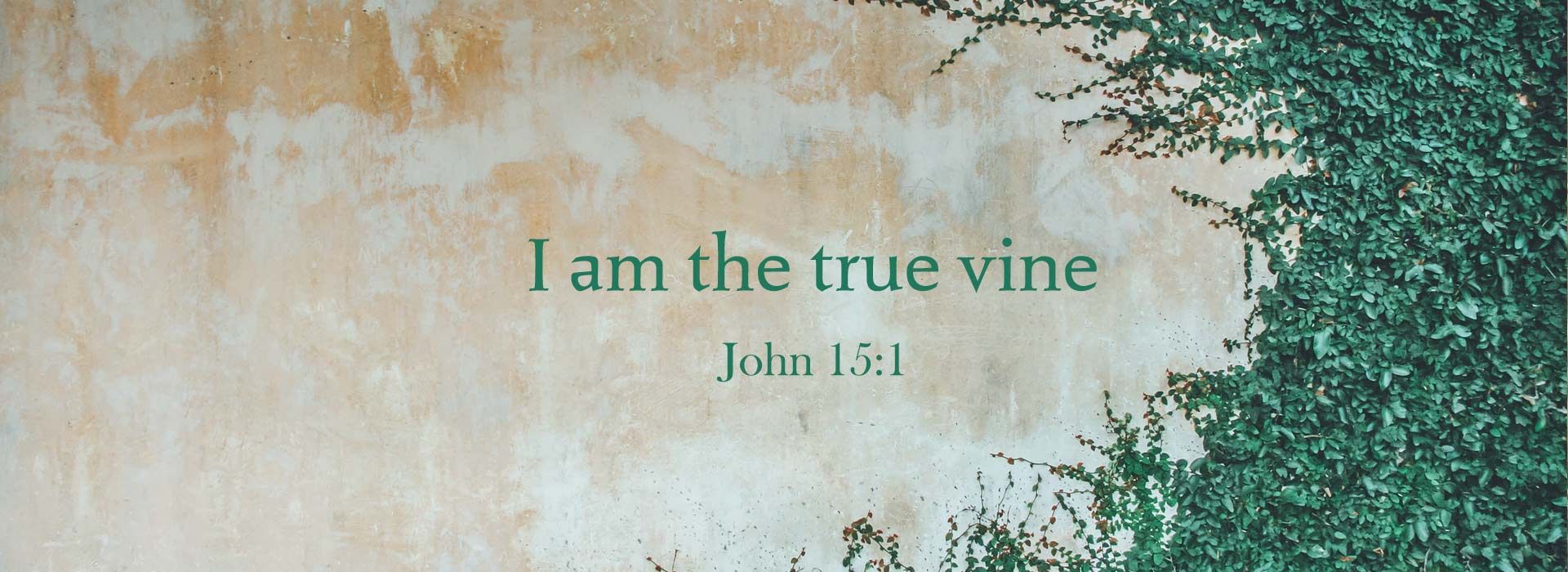 Fifth Sunday of Easter (7th May 2023)