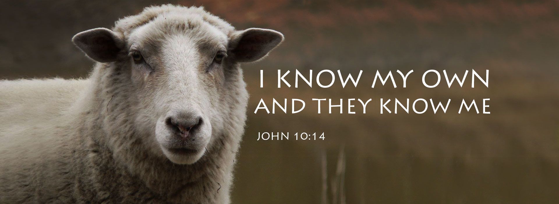 Good Shepherd Sunday (1st May 20223)