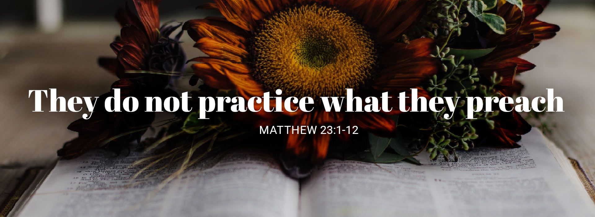 Thirty First Sunday in Ordinary Time (5th November 2023)
