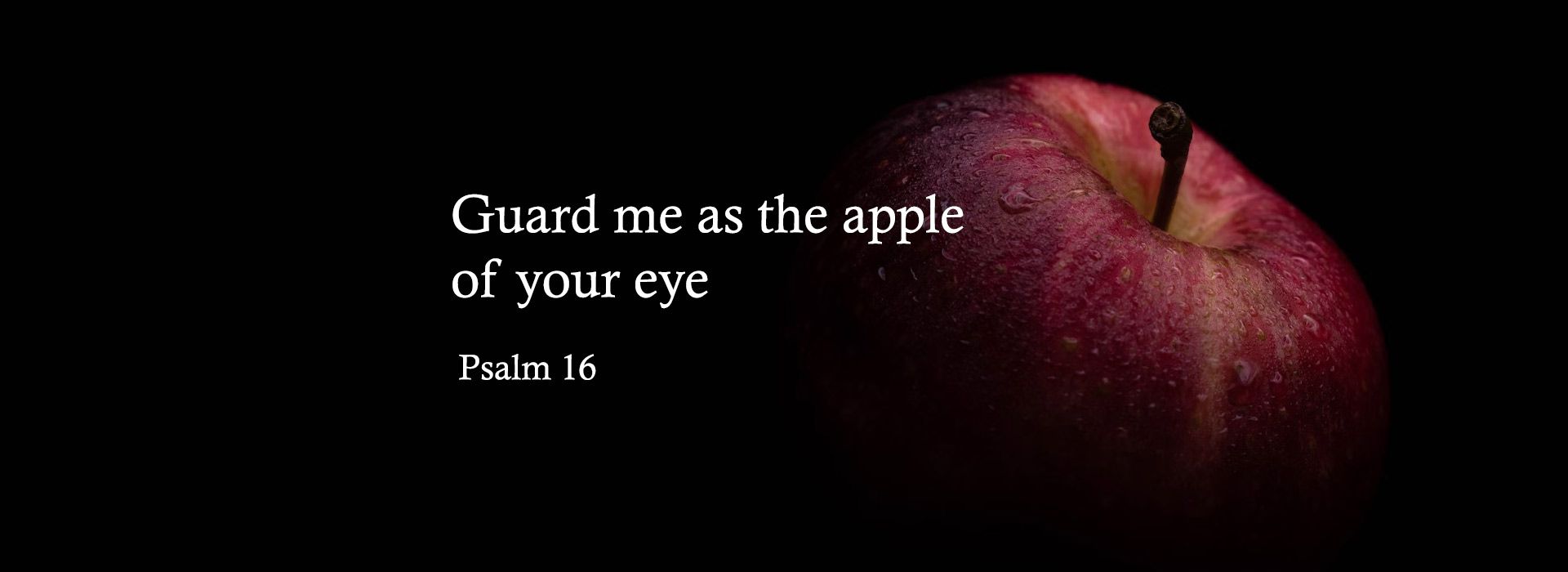Thirty Second Sunday in Ordinary Time (12th November 2023)