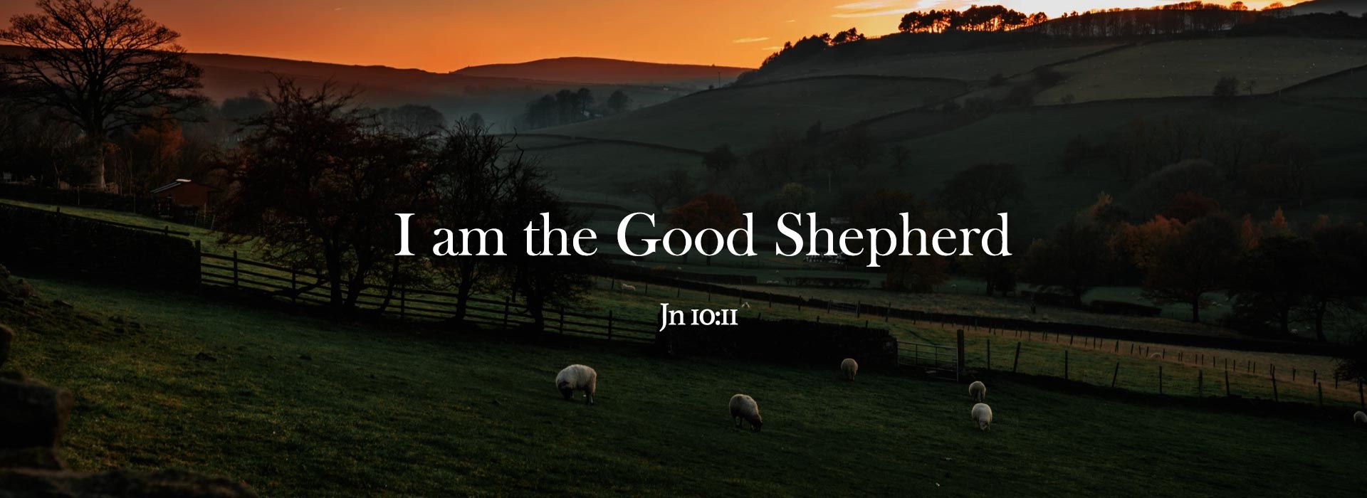 Good Shepherd Sunday