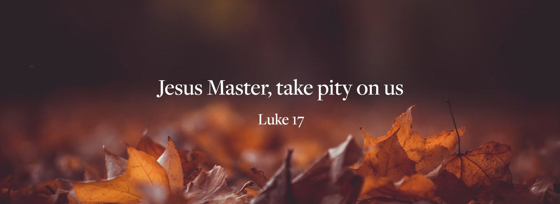 Twenty-Eighth Sunday in Ordinary Time