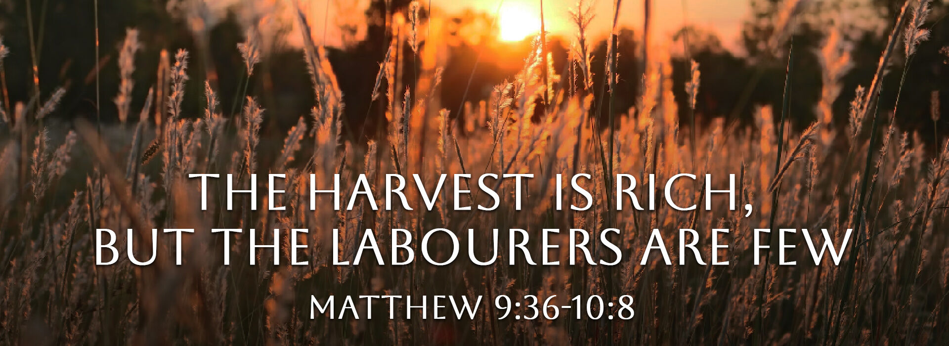 11th Sunday In Ordinary Time