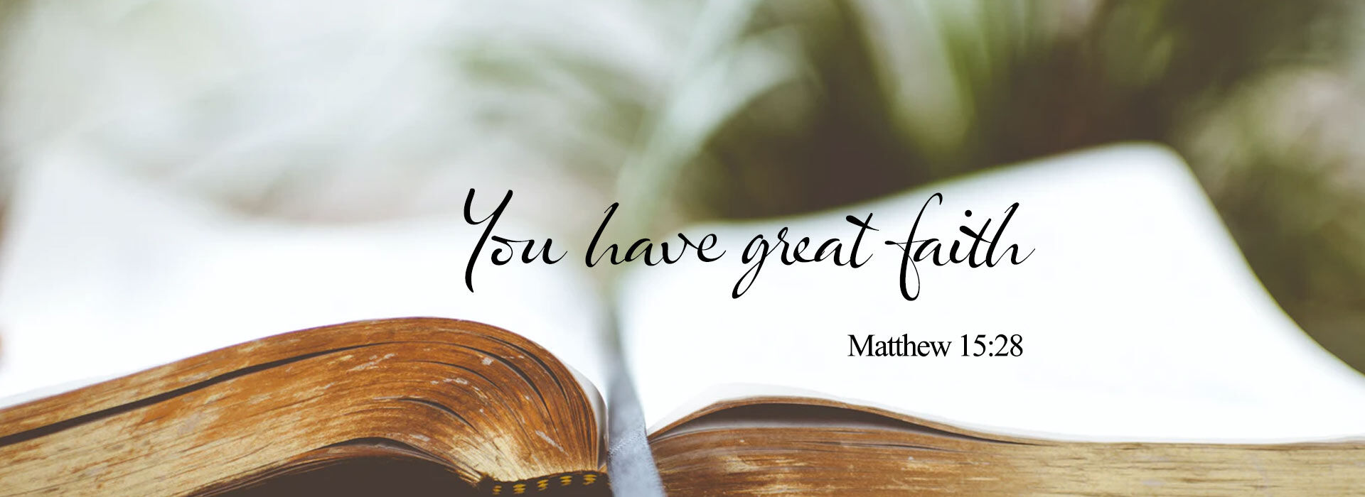 Twentieth Sunday in Ordinary Time