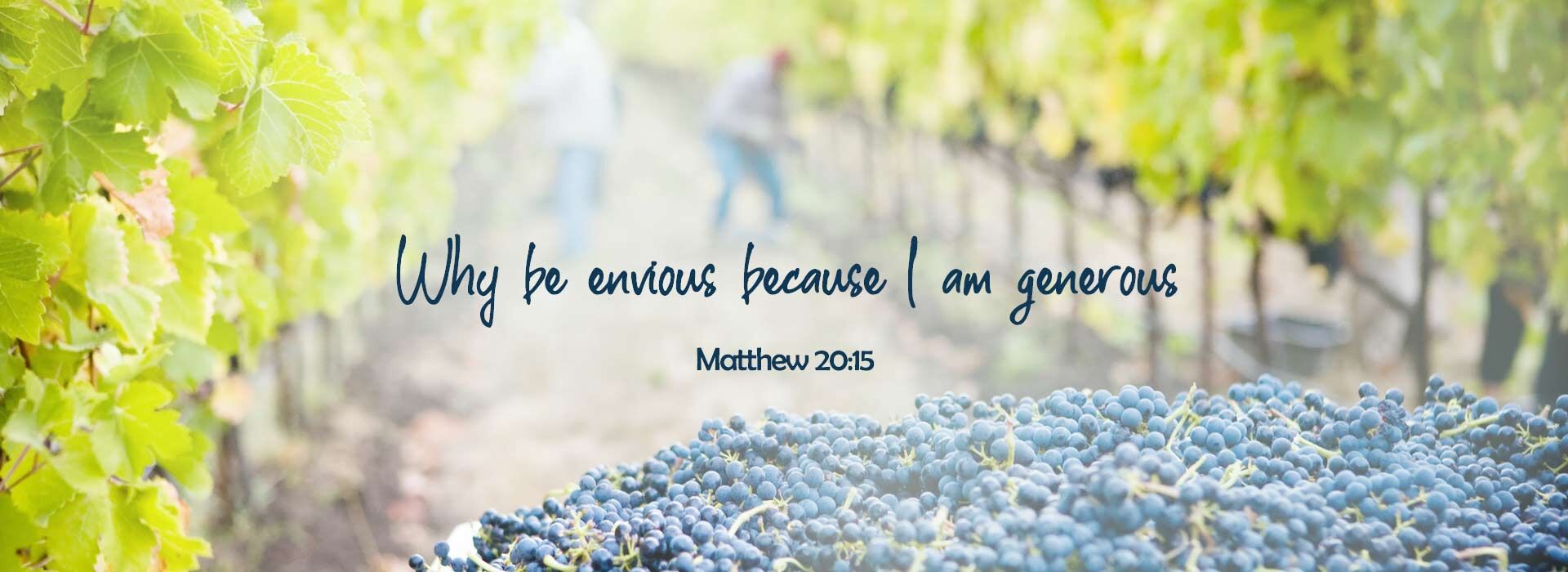 Twenty-Fifth Sunday in Ordinary Time